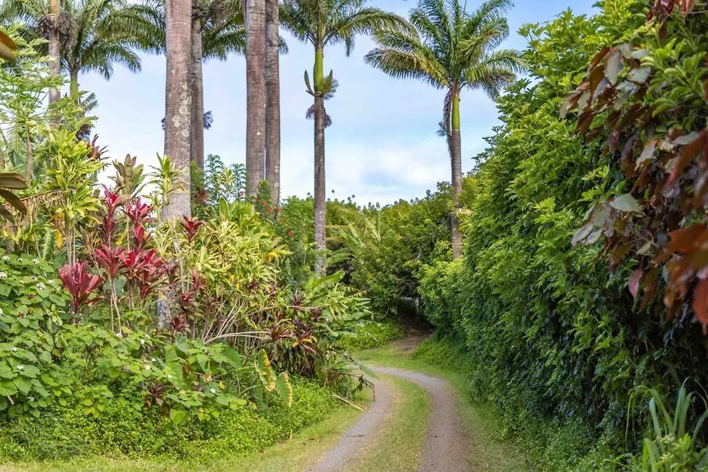 Cliff House With Ocean Views In Haiku, Maui Jungle Huelo