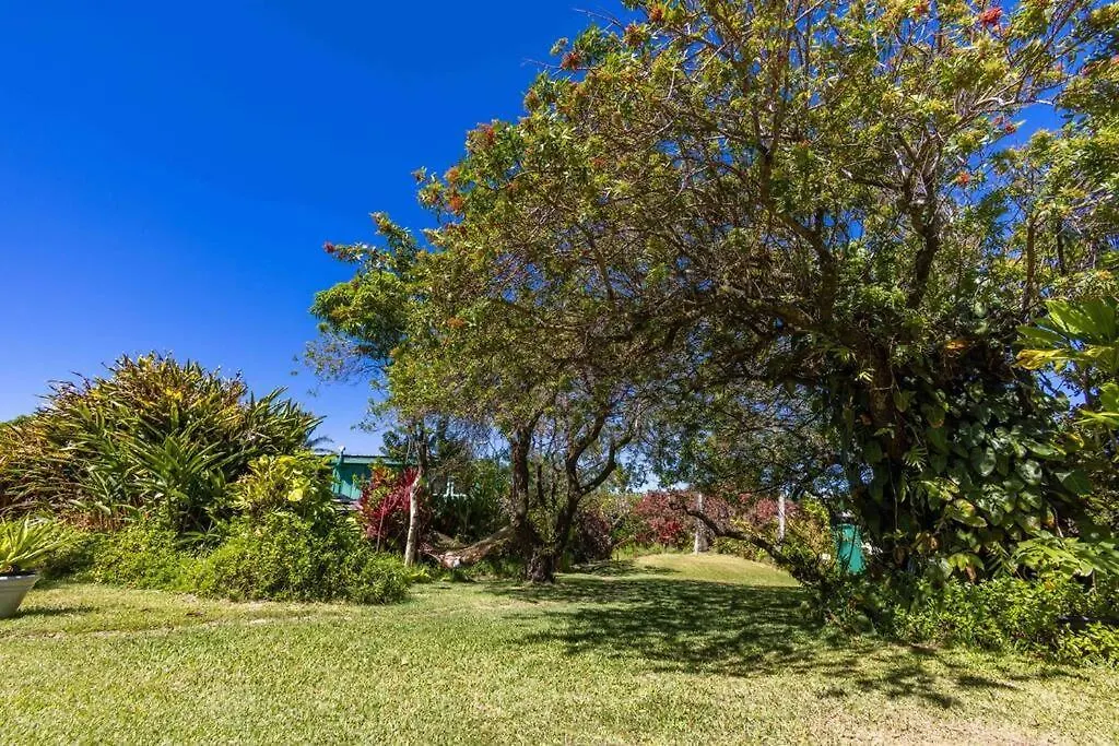 Cliff House With Ocean Views In Haiku, Maui Jungle Huelo Villa